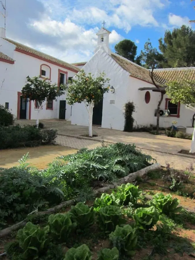 Cortijo El Triguero N-398 Ctra Carmona - El Viso Del Alcor Km 18 Villa Spain
