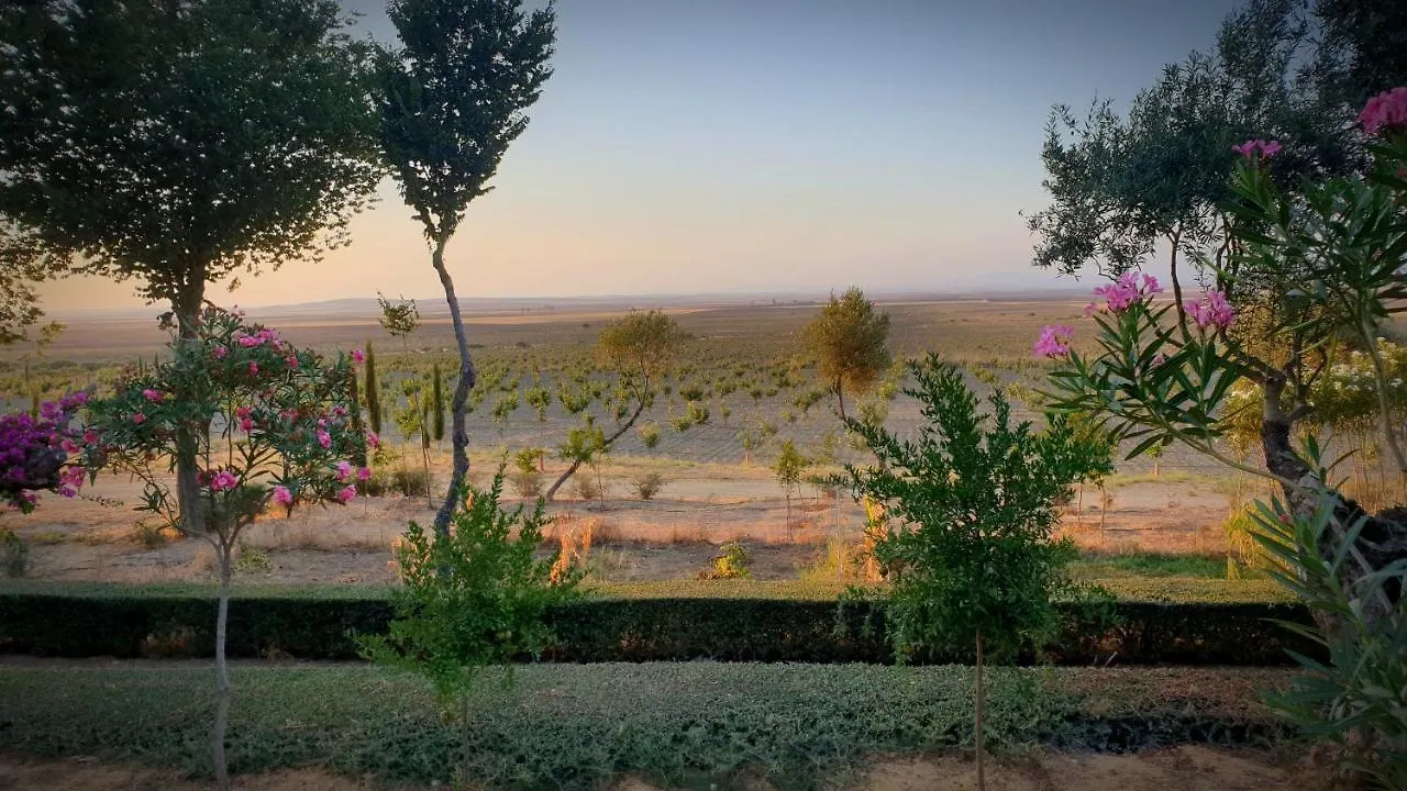 Cortijo El Triguero N-398 Ctra Carmona - El Viso Del Alcor Km 18 Villa  Carmona (Seville)