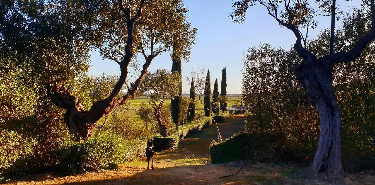 Cortijo El Triguero N-398 Ctra Carmona - El Viso Del Alcor Km 18 Villa